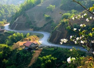 Du lịch Điện Biên nên đi mùa nào đẹp? Tổng quan thời tiết Điện Biên Du lịch Điện Biên nên đi mùa nào đẹp? Tổng quan thời tiết Điện Biên