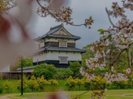Vẻ đẹp của lâu đài Fukuoka - kiệt tác kiến trúc cổ tại Nhật Bản