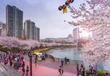 Đến hồ Seokchon Hàn Quốc – chiêm ngưỡng cảnh hoa anh đào khoe sắc rực rỡ Đến hồ Seokchon Hàn Quốc - chiêm ngưỡng cảnh hoa anh đào khoe sắc rực rỡ